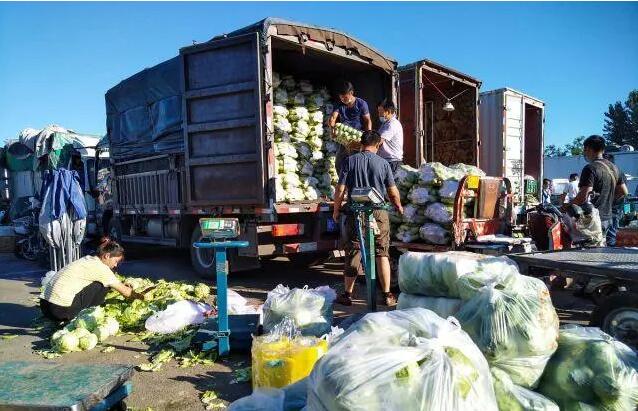 1660527555126649.jpg 75.jpg